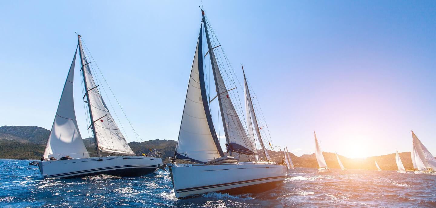 White Sails - beautiful yachts